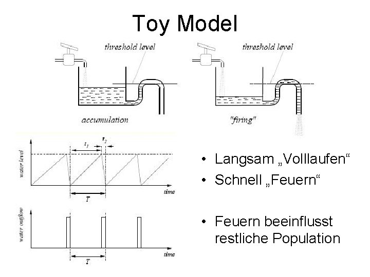 Toy Model • Langsam „Volllaufen“ • Schnell „Feuern“ • Feuern beeinflusst restliche Population 