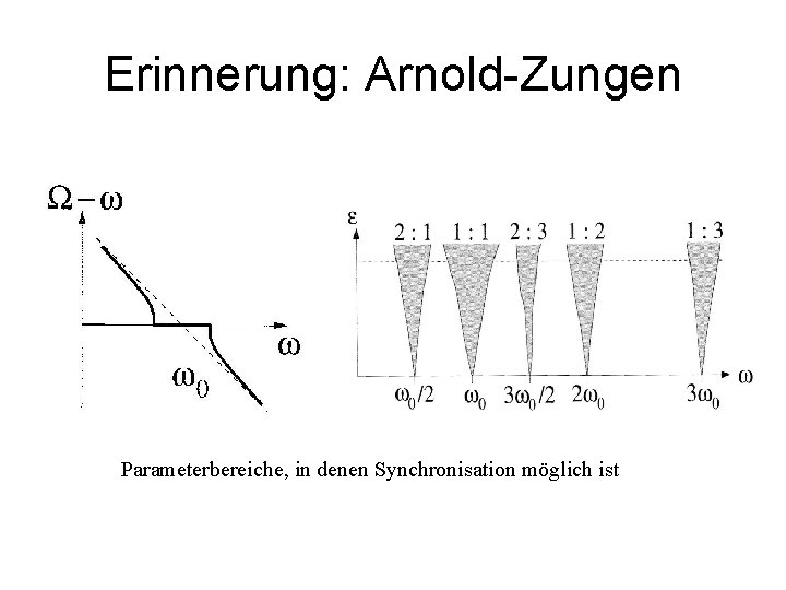 Erinnerung: Arnold-Zungen Parameterbereiche, in denen Synchronisation möglich ist 