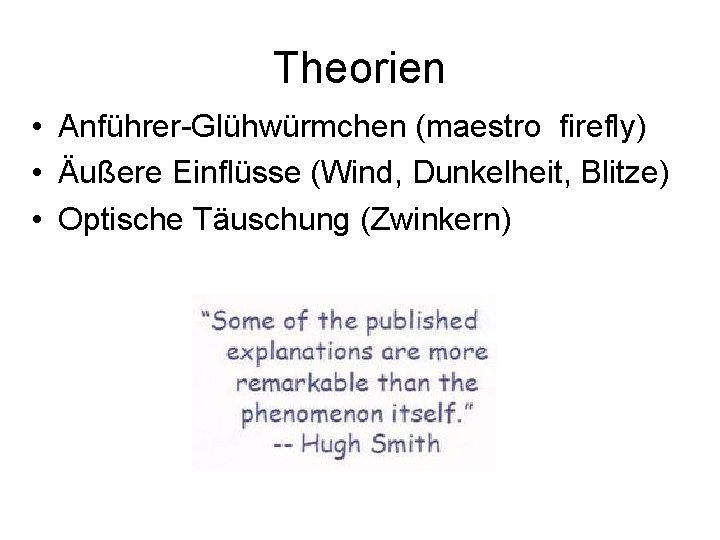 Theorien • Anführer-Glühwürmchen (maestro firefly) • Äußere Einflüsse (Wind, Dunkelheit, Blitze) • Optische Täuschung