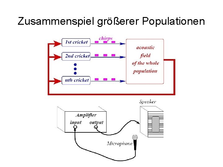 Zusammenspiel größerer Populationen 