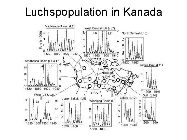 Luchspopulation in Kanada 