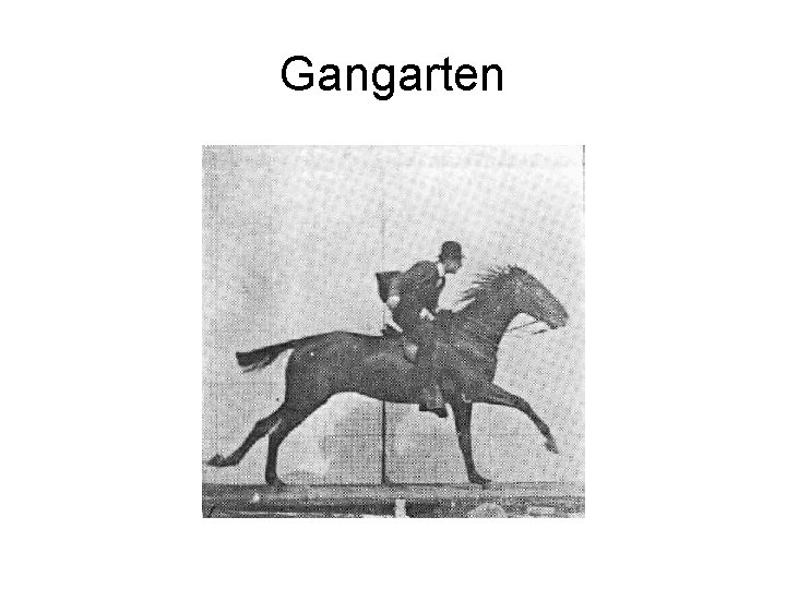 Gangarten 