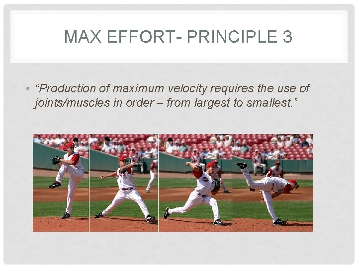 MAX EFFORT- PRINCIPLE 3 • “Production of maximum velocity requires the use of joints/muscles