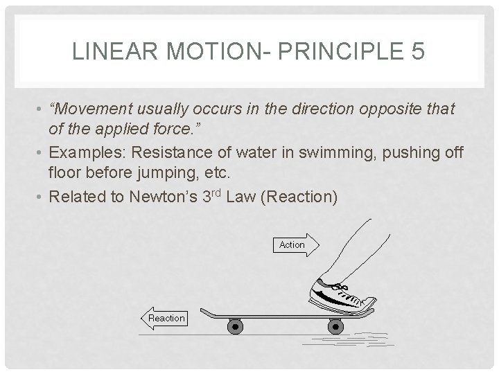 LINEAR MOTION- PRINCIPLE 5 • “Movement usually occurs in the direction opposite that of