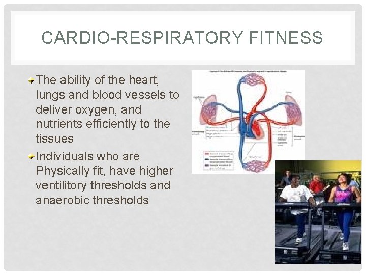 CARDIO-RESPIRATORY FITNESS The ability of the heart, lungs and blood vessels to deliver oxygen,