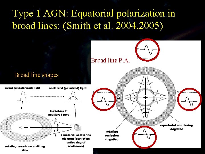 Type 1 AGN: Equatorial polarization in broad lines: (Smith et al. 2004, 2005) Broad