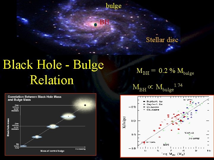 bulge BH Black Hole - Bulge Relation Stellar disc MBH = 0. 2 %