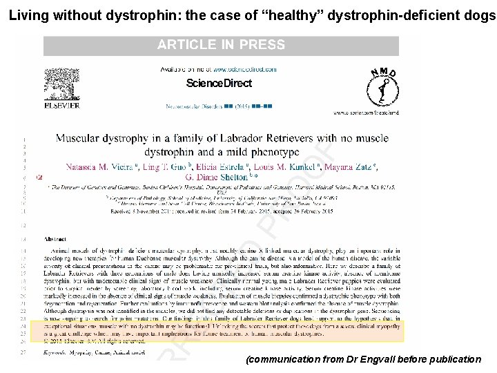 Living without dystrophin: the case of “healthy” dystrophin-deficient dogs (communication from Dr Engvall before