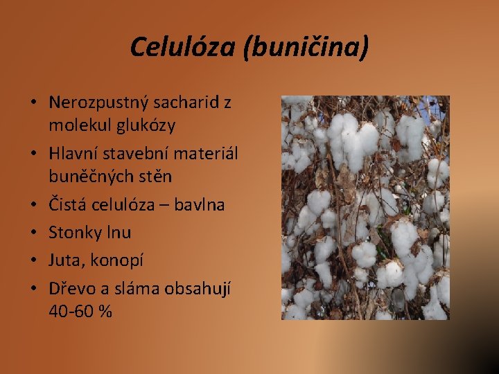 Celulóza (buničina) • Nerozpustný sacharid z molekul glukózy • Hlavní stavební materiál buněčných stěn