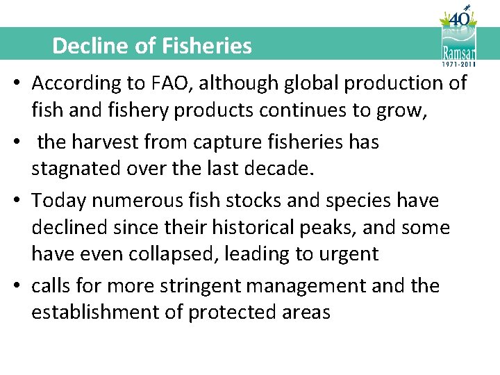 Decline of Fisheries • According to FAO, although global production of fish and fishery