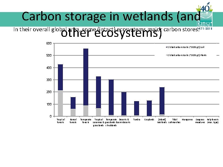 Carbon storage in wetlands (and In their overall global area, some (intact) ecosystems major