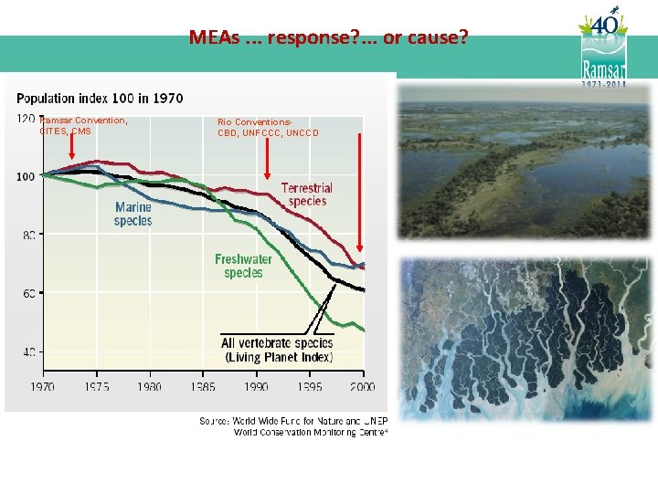 MEAs. . . response? . . . or cause? Ramsar Convention, CITES, CMS Rio