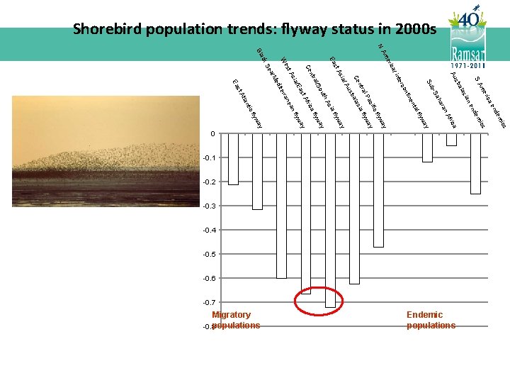 Shorebird population trends: flyway status in 2000 s cs i em nd ae -0.