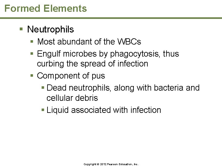 Formed Elements § Neutrophils § Most abundant of the WBCs § Engulf microbes by