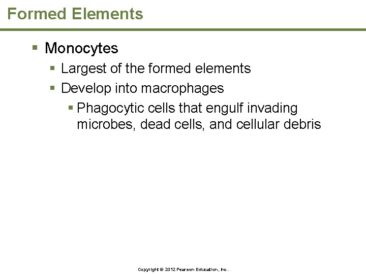 Formed Elements § Monocytes § Largest of the formed elements § Develop into macrophages