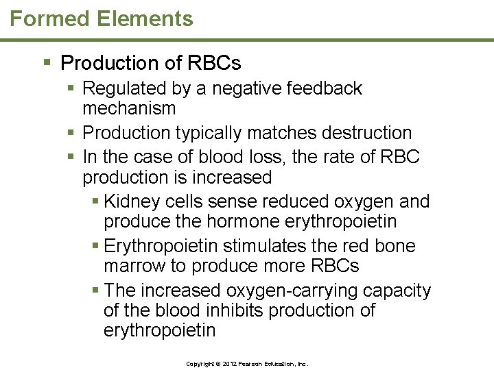 Formed Elements § Production of RBCs § Regulated by a negative feedback mechanism §