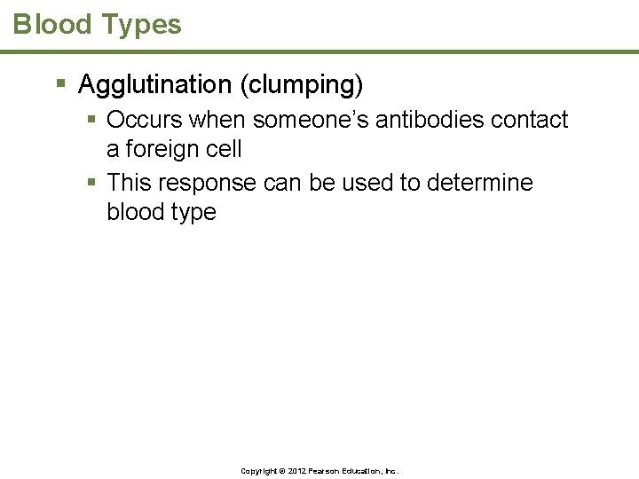 Blood Types § Agglutination (clumping) § Occurs when someone’s antibodies contact a foreign cell