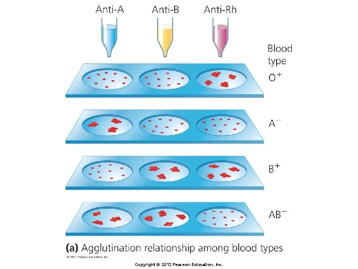 Copyright © 2012 Pearson Education, Inc. 