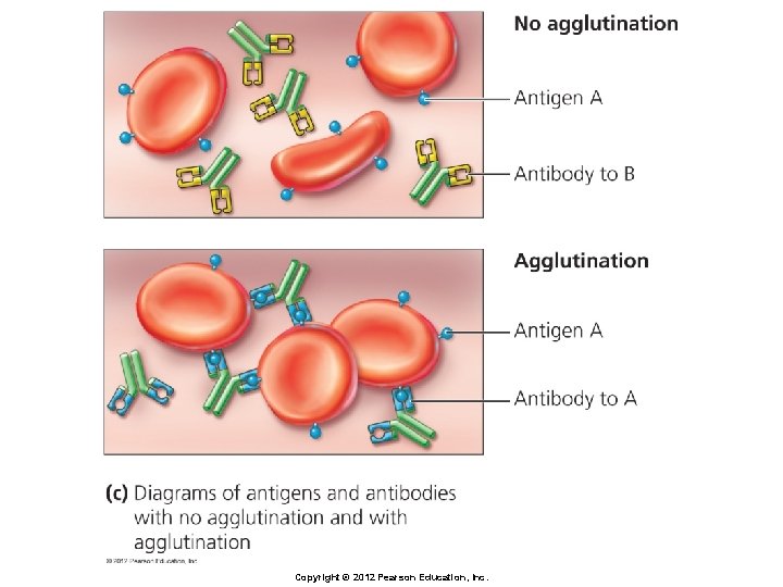 Copyright © 2012 Pearson Education, Inc. 