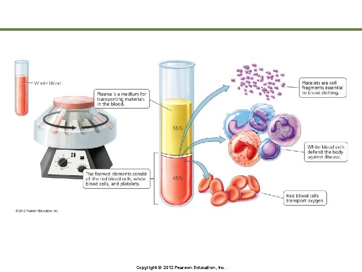 Copyright © 2012 Pearson Education, Inc. 