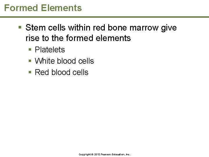 Formed Elements § Stem cells within red bone marrow give rise to the formed