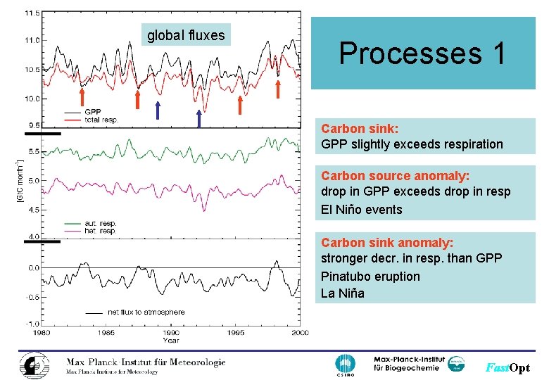 global fluxes Processes 1 Carbon sink: GPP slightly exceeds respiration Carbon source anomaly: drop