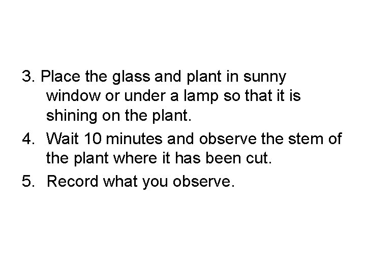 3. Place the glass and plant in sunny window or under a lamp so