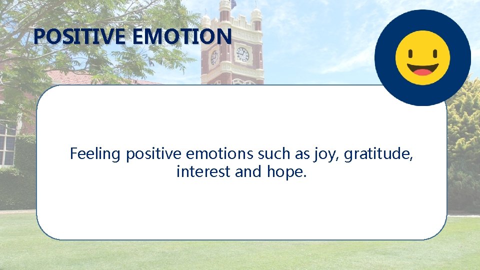 POSITIVE EMOTION Feeling positive emotions such as joy, gratitude, interest and hope. 