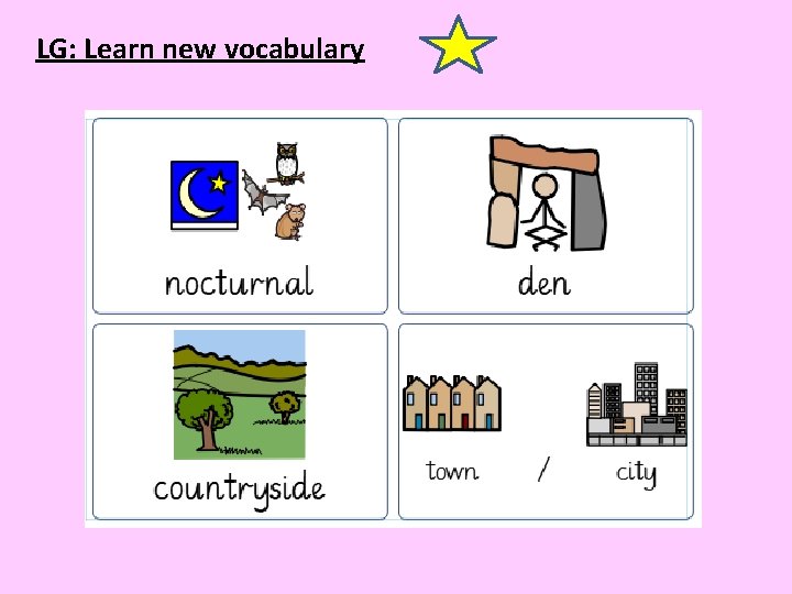 LG: Learn new vocabulary 