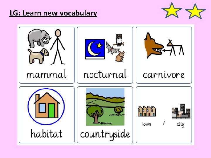 LG: Learn new vocabulary 