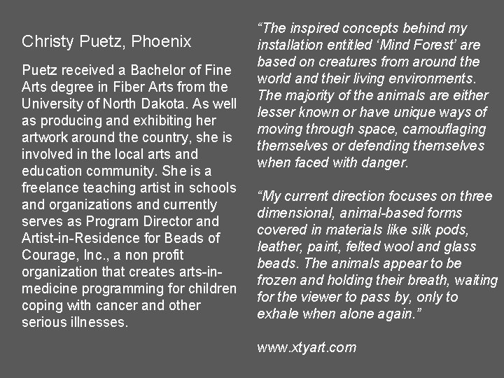 Christy Puetz, Phoenix Puetz received a Bachelor of Fine Arts degree in Fiber Arts