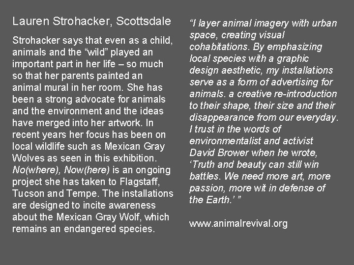 Lauren Strohacker, Scottsdale Strohacker says that even as a child, animals and the “wild”