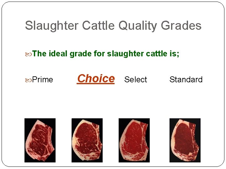 Slaughter Cattle Quality Grades The ideal grade for slaughter cattle is; Prime Choice Select Slaughter Cattle Quality Grades The ideal grade for slaughter cattle is; Prime Choice Select