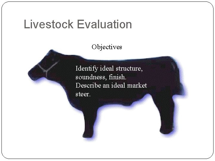 Livestock Evaluation Objectives Identify ideal structure, soundness, finish. Describe an ideal market steer. Livestock Evaluation Objectives Identify ideal structure, soundness, finish. Describe an ideal market steer.