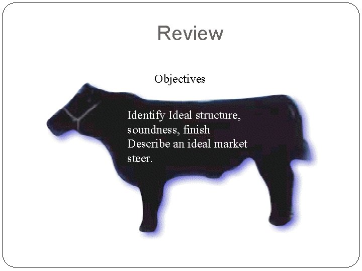 Review Objectives Identify Ideal structure, soundness, finish Describe an ideal market steer. Review Objectives Identify Ideal structure, soundness, finish Describe an ideal market steer.