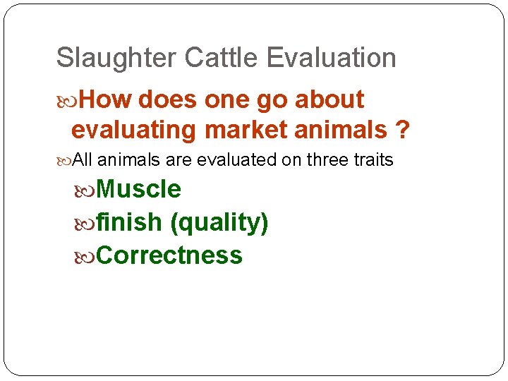 Slaughter Cattle Evaluation How does one go about evaluating market animals ? All animals Slaughter Cattle Evaluation How does one go about evaluating market animals ? All animals