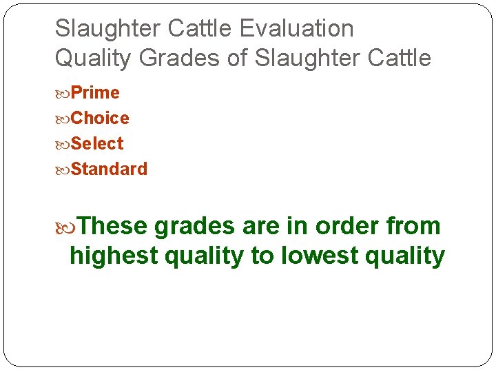 Slaughter Cattle Evaluation Quality Grades of Slaughter Cattle Prime Choice Select Standard These grades Slaughter Cattle Evaluation Quality Grades of Slaughter Cattle Prime Choice Select Standard These grades