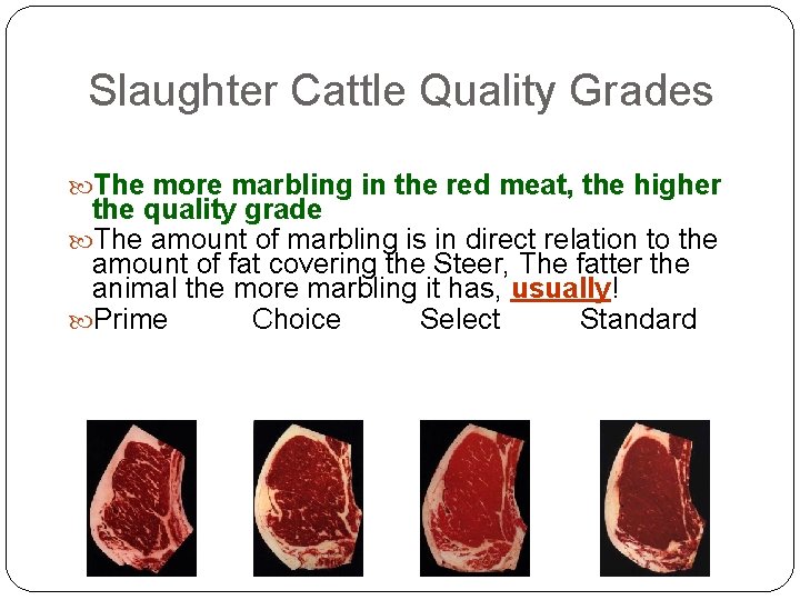 Slaughter Cattle Quality Grades The more marbling in the red meat, the higher the Slaughter Cattle Quality Grades The more marbling in the red meat, the higher the