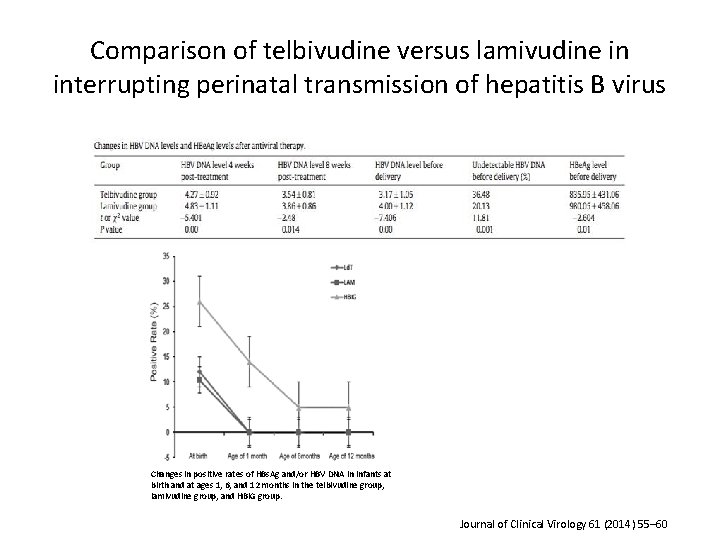 Comparison of telbivudine versus lamivudine in interrupting perinatal transmission of hepatitis B virus Changes