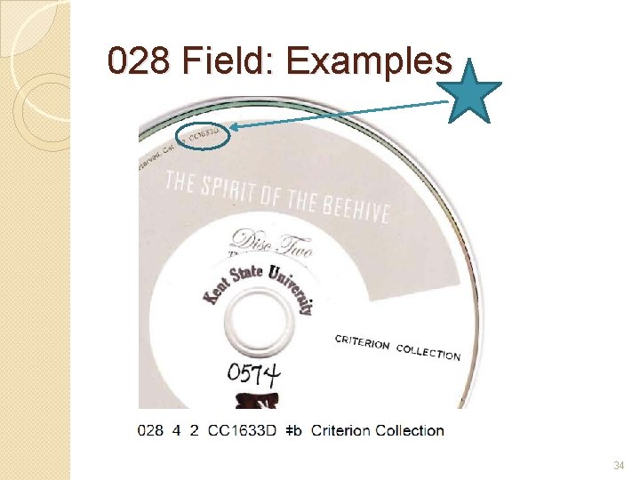 028 Field: Examples 34 