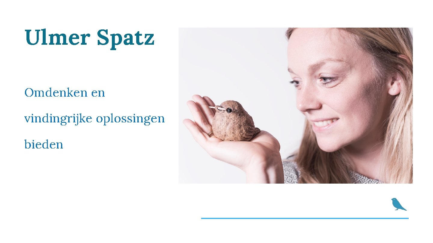 Ulmer Spatz Omdenken en vindingrijke oplossingen bieden 