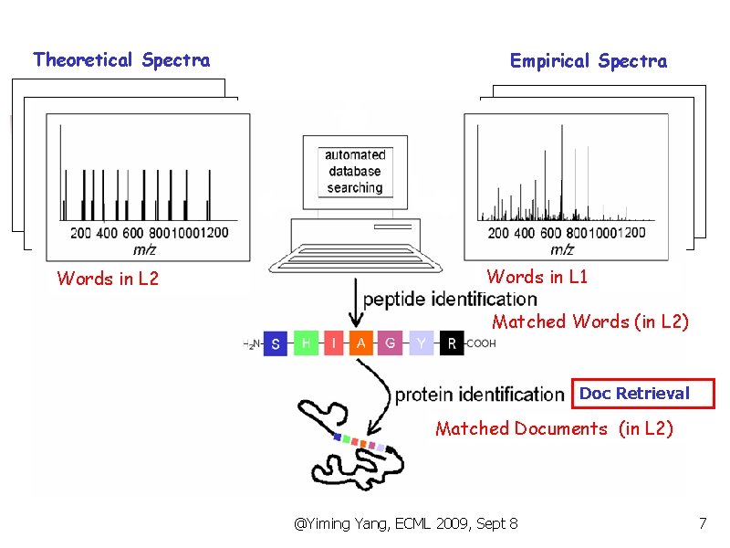 Theoretical Spectra Empirical Spectra Mapping Matching Words in L 2 Words in L 1