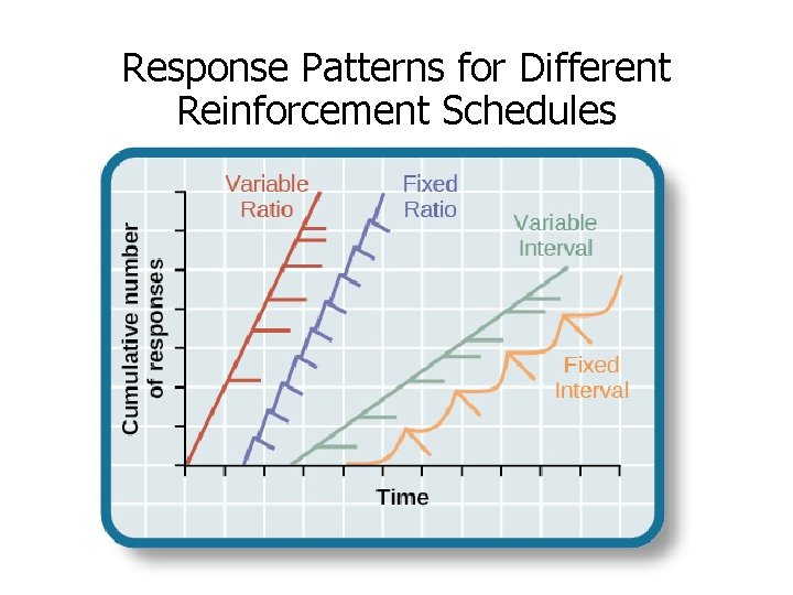 Response Patterns for Different Reinforcement Schedules Response Patterns for Different Reinforcement Schedules