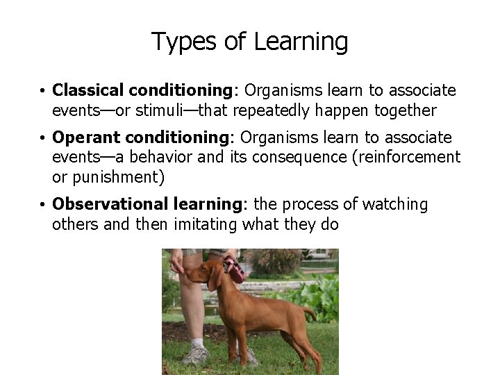 Types of Learning • Classical conditioning: Organisms learn to associate events—or stimuli—that repeatedly happen