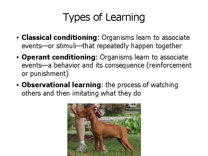 Types of Learning • Classical conditioning: Organisms learn to associate events—or stimuli—that repeatedly happen Types of Learning • Classical conditioning: Organisms learn to associate events—or stimuli—that repeatedly happen