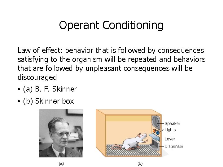 Operant Conditioning Law of effect: behavior that is followed by consequences satisfying to the Operant Conditioning Law of effect: behavior that is followed by consequences satisfying to the