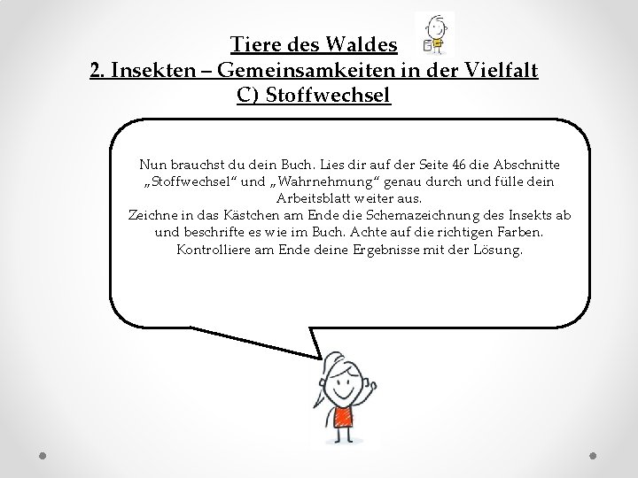 Tiere des Waldes 2. Insekten – Gemeinsamkeiten in der Vielfalt C) Stoffwechsel Nun brauchst