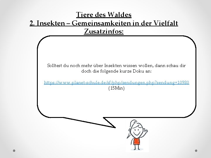 Tiere des Waldes 2. Insekten – Gemeinsamkeiten in der Vielfalt Zusatzinfos: Solltest du noch