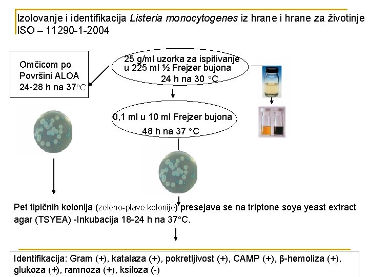 Izolovanje i identifikacija Listeria monocytogenes iz hrane i hrane za životinje ISO – 11290