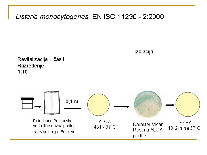 Listeria monocytogenes EN ISO 11290 - 2: 2000 Izolacija Revitalizacija 1 čas i Razređenje
